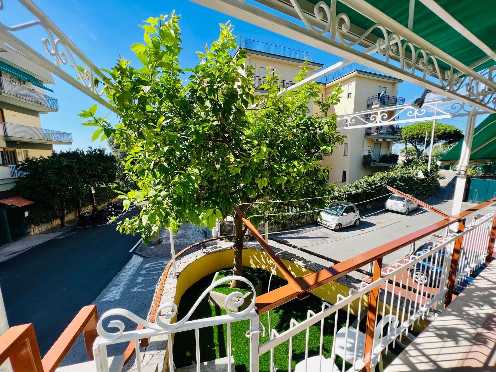 Treehouse Sorrento Apartment المظهر الخارجي الصورة